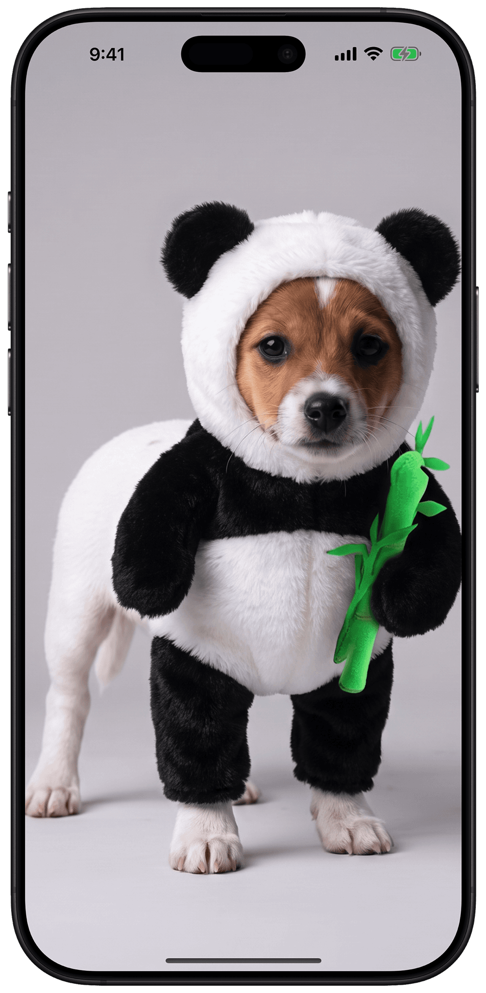 A dog trying on a panda costume in the Wear app